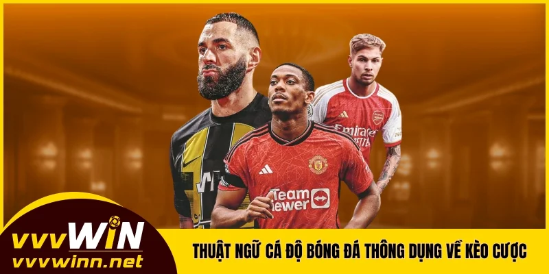 Thuật ngữ cá độ bóng đá thông dụng về kèo cược