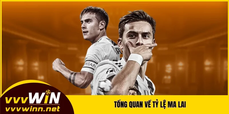 Tổng quan về tỷ lệ Ma Lai
